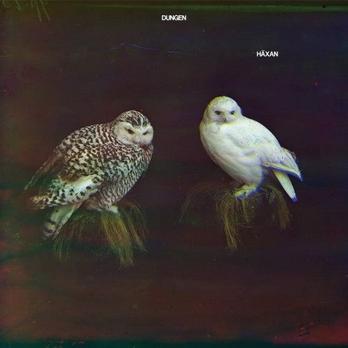 Dungen - Haxan [CD]