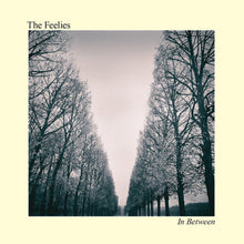 the album cover for The Feelies - In Between [Vinyl]