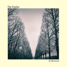 The Feelies - In Between Music CD