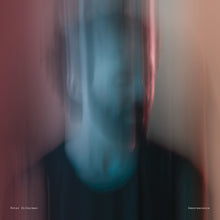 the album cover for Peter Silberman - Impermanence [Vinyl]