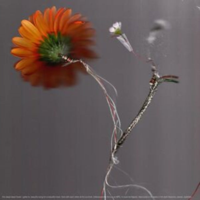 Basile3 - 43°C - LP Vinyl