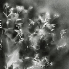 the album cover for Jacaszek - KWIATY