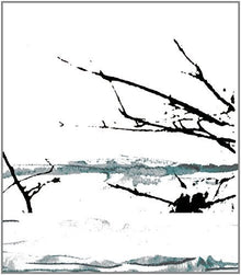 the album cover for Tenhi - Vare (Blk) [Limited Edition] [180 Gram]