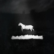 the album cover for Les Discrets - Predateurs (Blk) [180 Gram]