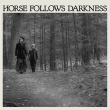 the album cover for Delia Gonzalez - Horse Follows Darkness [LP]