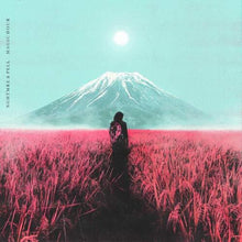 the album cover for Nghtmre & Pell - Magic Hour
