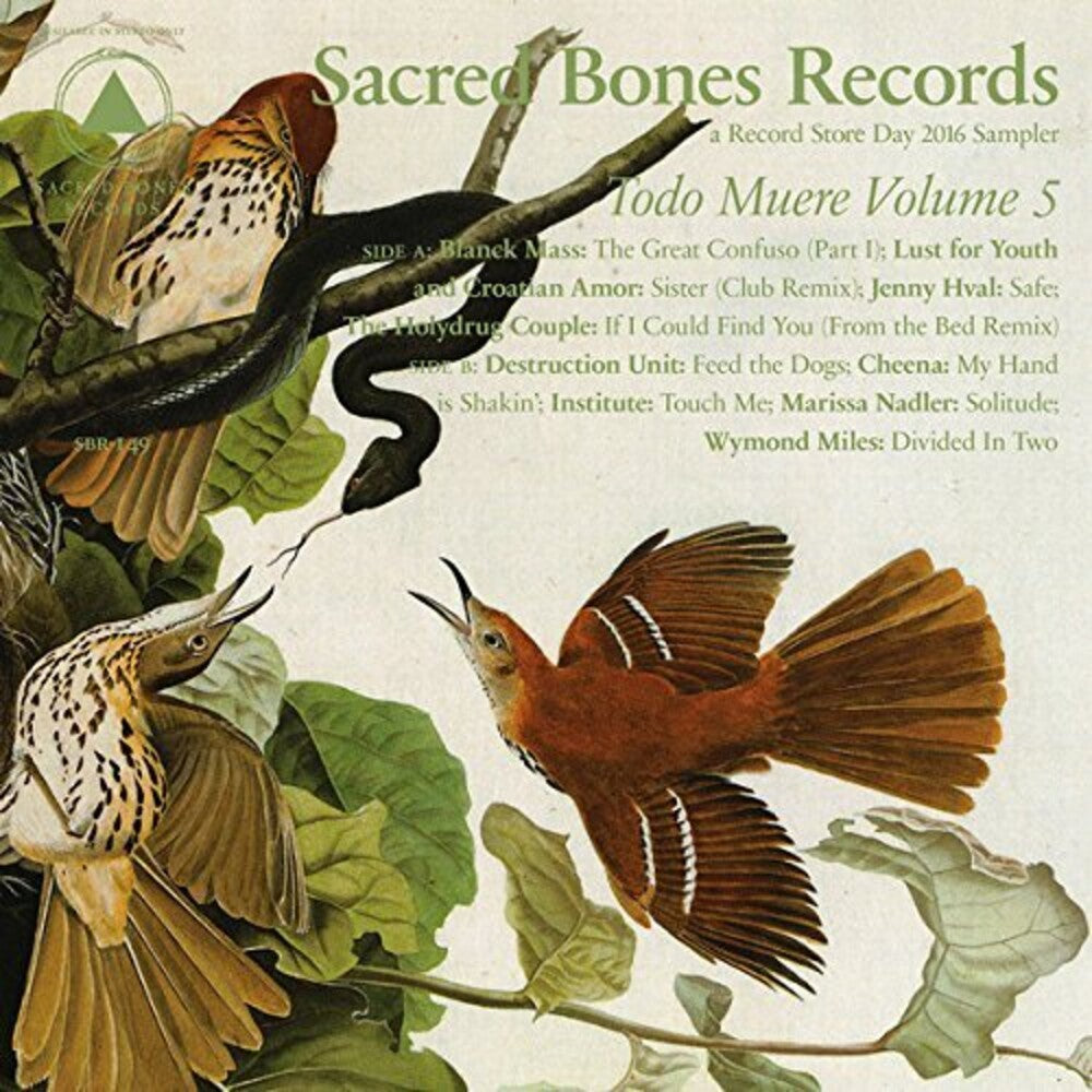 the album cover for Todo Muere Vol 5 / Various - TODO MUERE VOL 5 / VARIOUS