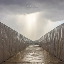 the album cover for Bellini - Before The Day Has Gone [Colored Vinyl] (Can)