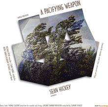 the album cover for MICHALA PETRI - Sean Hickey: A Pacifying Weapon