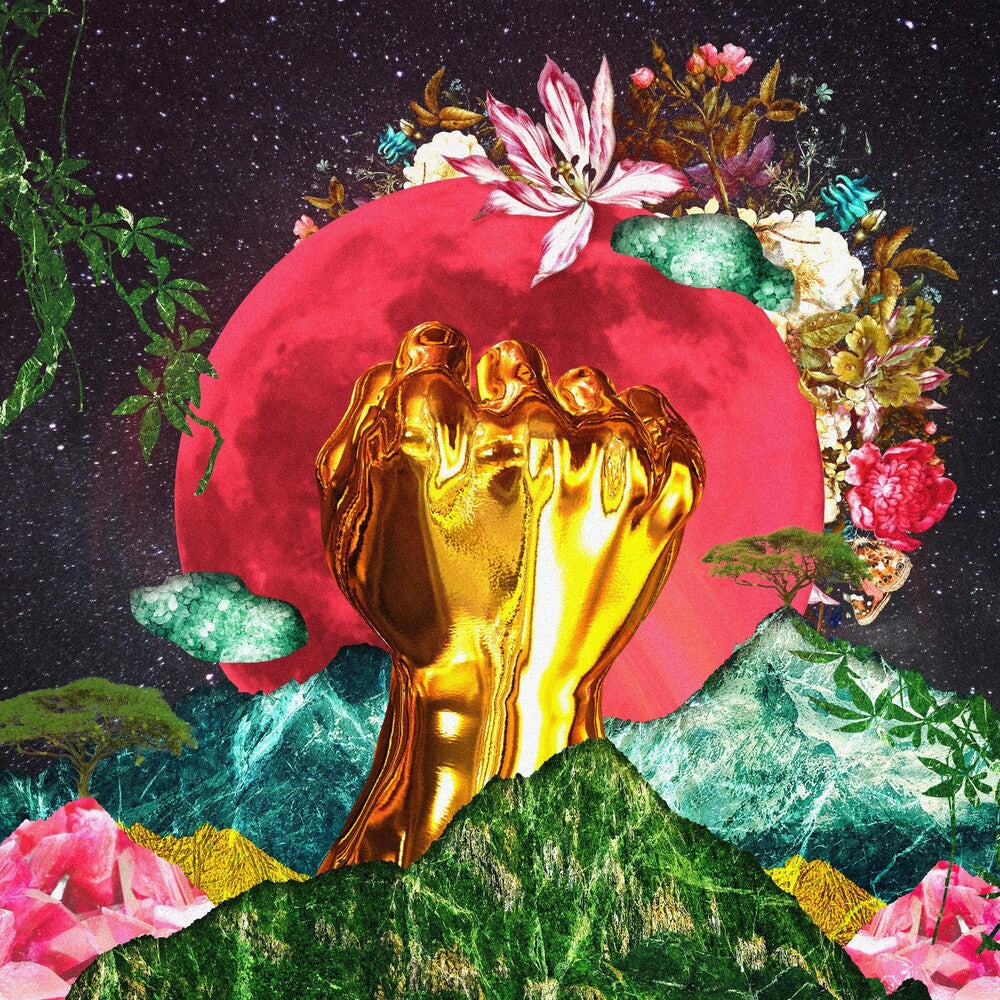 Rina Mushonga - In A Galaxy [LP] Vinyl Record
