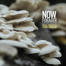 the album cover for Chris Brokaw - Now Forager (Original Soundtrack)
