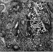 the album cover for Werian - Animist