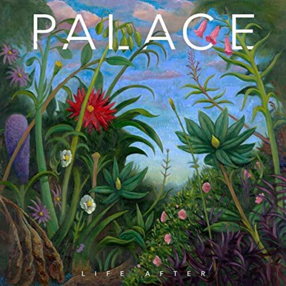 the album cover for Palace - Life After