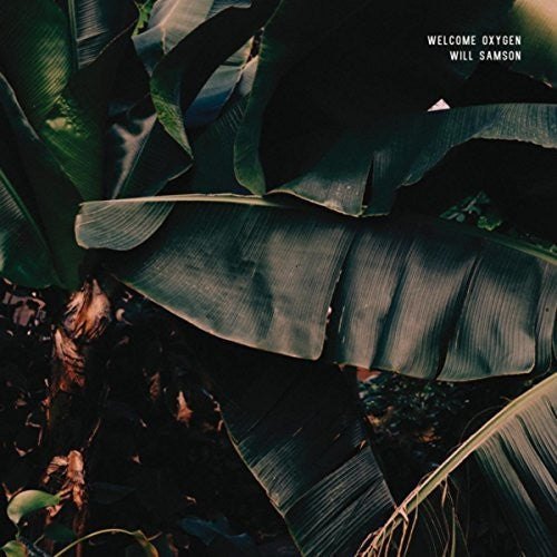 the album cover for Will Samson - Welcome Oxygen
