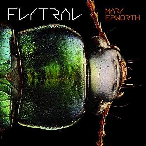 the album cover for Mary Epworth - Elytral [LP]