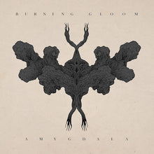 the album cover for Burning Gloom - Amygdala