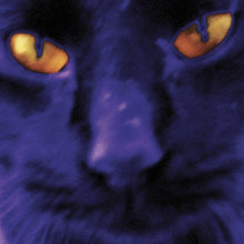 the album cover for David Kilgour and the Heavy Eights - Bobbie's A Girl [LP]