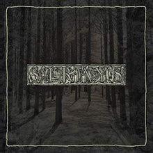 the album cover for Strays - TIMEDEATHVOIDDREAMDEATHVOIDDREAM
