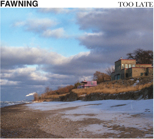 the album cover for Fawning - Too Late (Indie Exclusive) [Colored Vinyl] [180 Gram] (Wht)