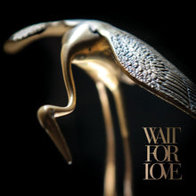Pianos Become The Teeth - Wait For Love [Colored Vinyl] Vinyl Record