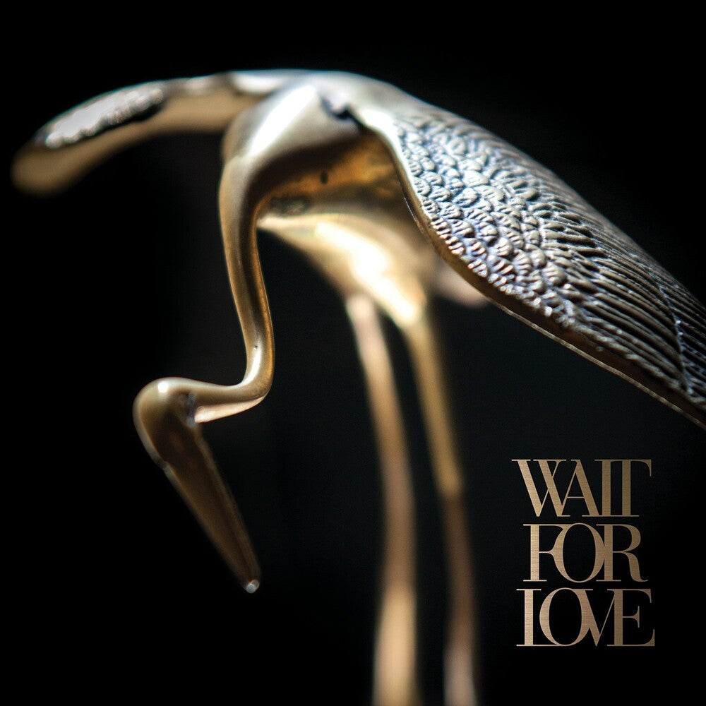 the album cover for Pianos Become The Teeth - Wait For Love (Metallic Gold) [Colored Vinyl] (Gol)