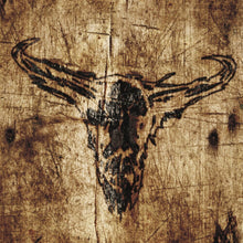 the album cover for Upon A Burning Body - Southern Hostility