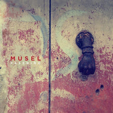 the album cover for Musel - Pasenino