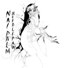 the album cover for Nai Palm - Needle Paw