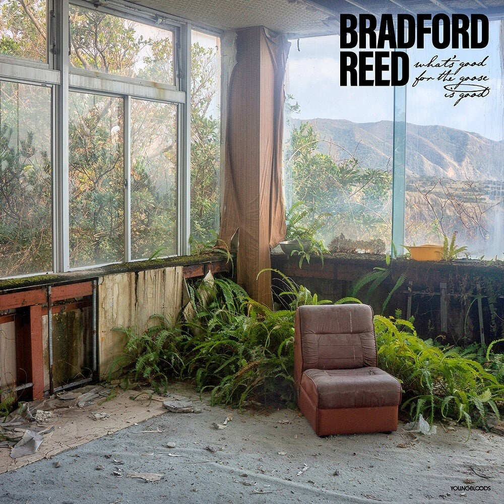 the album cover for Bradford Reed - What's Good For The Goose Is Good