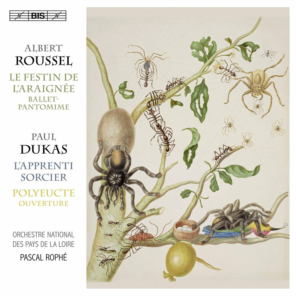 Dukas / Orchestre National Des Pays De La Loire - Festin de L'araignee [CD]