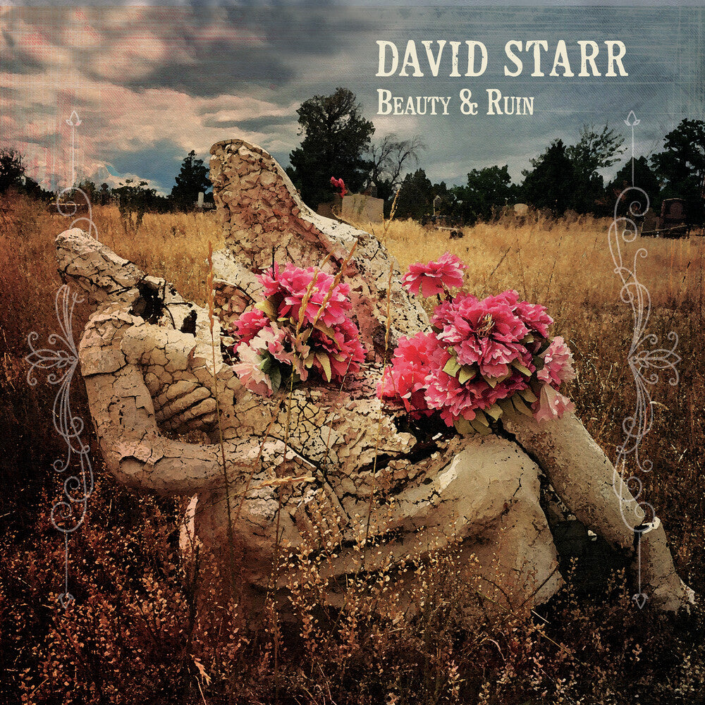 the album cover for David Starr - Beauty & Ruin [LP]