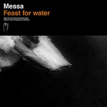 the album cover for Mess - Feast For Water