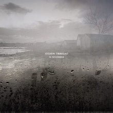 the album cover for Joshua Trinidad - In November [180 Gram]