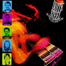 the album cover for Suite Steel - The Pedal Steel Guitar Album