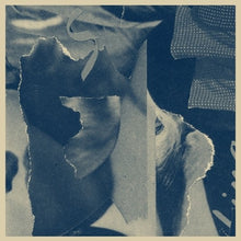 the album cover for Aria Rostami - Distant Companion