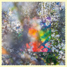 Four Tet - Sixteen Oceans [LP] Vinyl Record