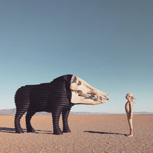 the album cover for Man Man - Dream Hunting In The Valley Of The In-Between [LP]