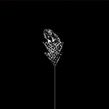 the album cover for Wetware - Flail