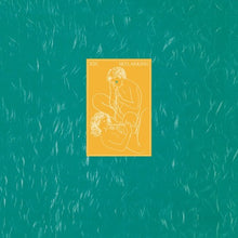 the album cover for Xtc - Skylarking