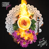 the album cover for We Versus The Shark - Goodbye Guitar