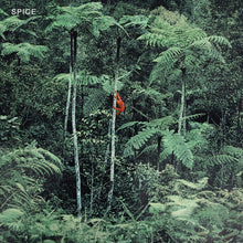 Spice - Spice Music CD
