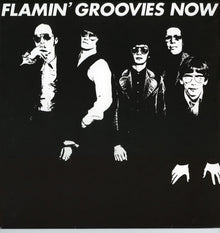 the album cover for Flamin Groovies - Now