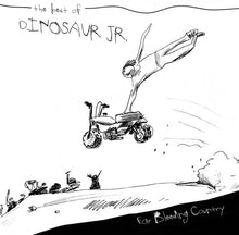 the album cover for Dinosaur Jr. - Ear Bleeding Country: The Best Of