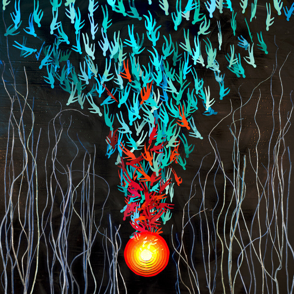 Bright Eyes - Down in the Weeds, Where the World Once Was [CD]