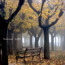 the album cover for Nosound - Sol29 (Gate) [180 Gram] (Uk)