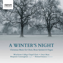 the album cover for Winters Night / Various - Winter's Night