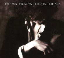 The Waterboys - This Is The Sea: Collectors Edition [Import]