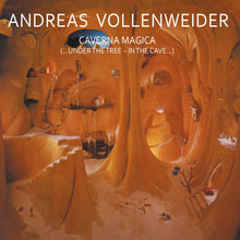 the album cover for Andreas Vollenweides - Caverna Magica (under The Tree - In The Cave)