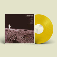 the album cover for Carolina Story - Dandelion [Limited Edition Dandelion Yellow LP]