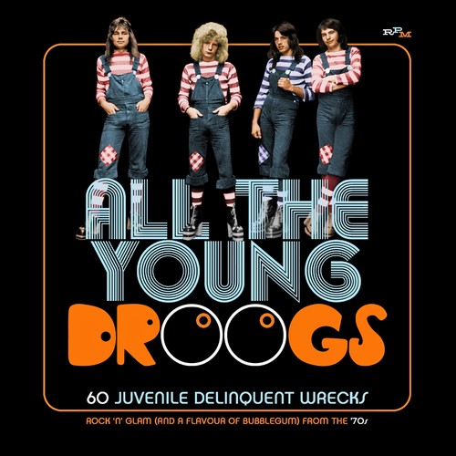 All The Young Droogs 60 Juvenile Delinquent / Var - All The Young Droogs: 60 Juvenile Delinquent Wrecks / Various [CD]